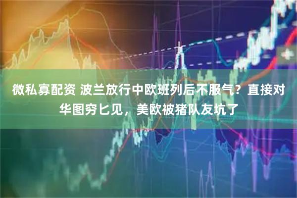 微私寡配资 波兰放行中欧班列后不服气？直接对华图穷匕见，美欧被猪队友坑了